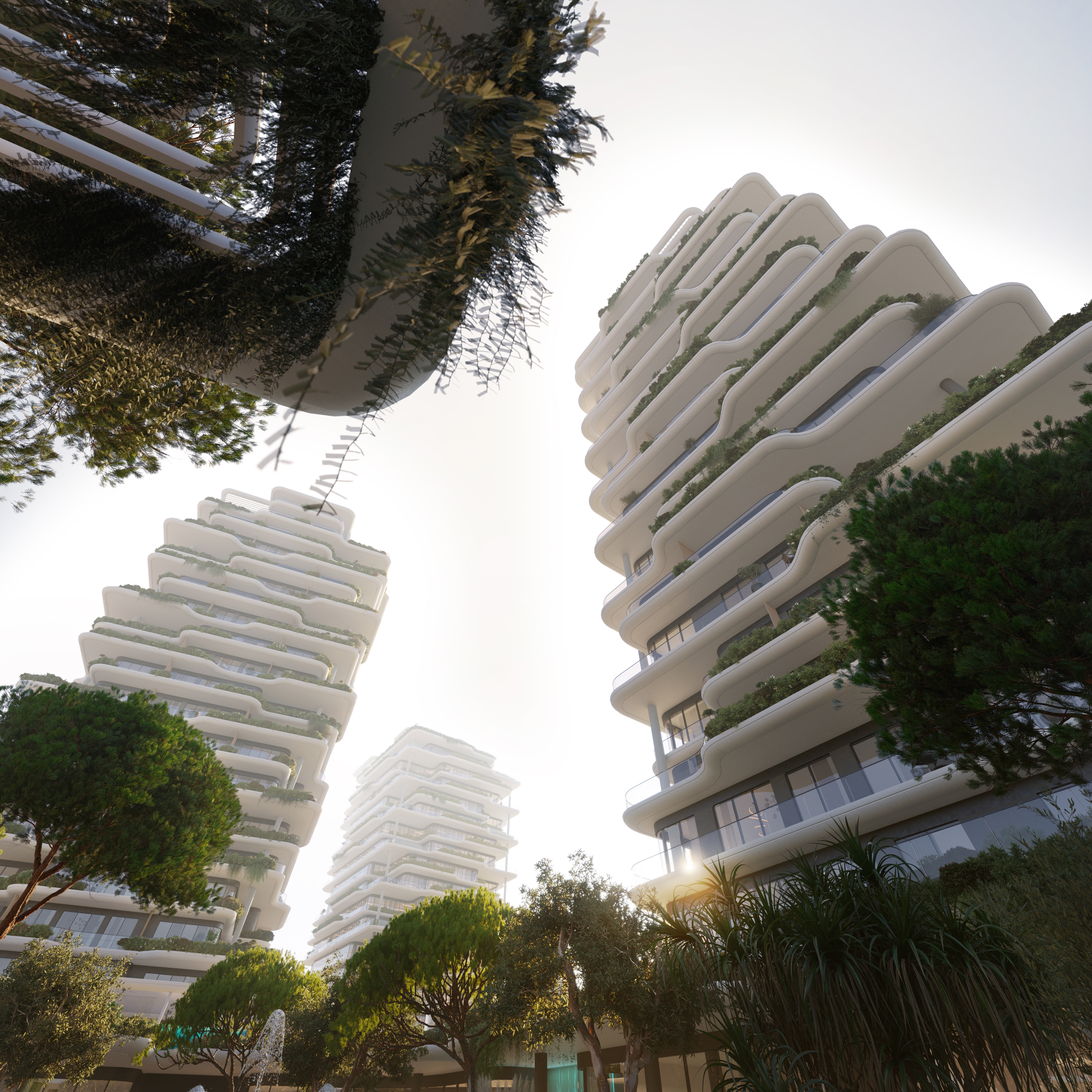 Project Gallery Image