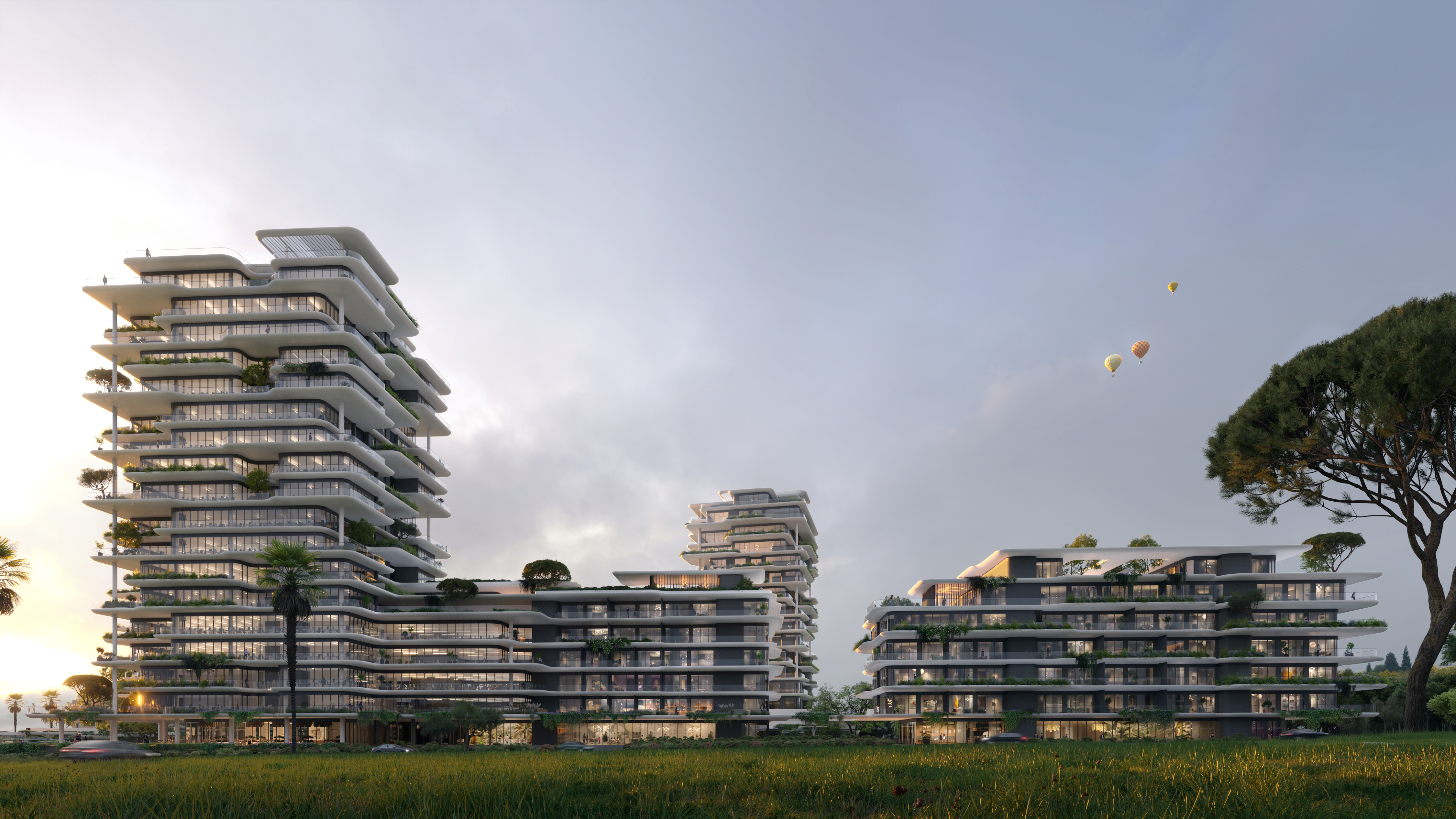 Project Gallery Image