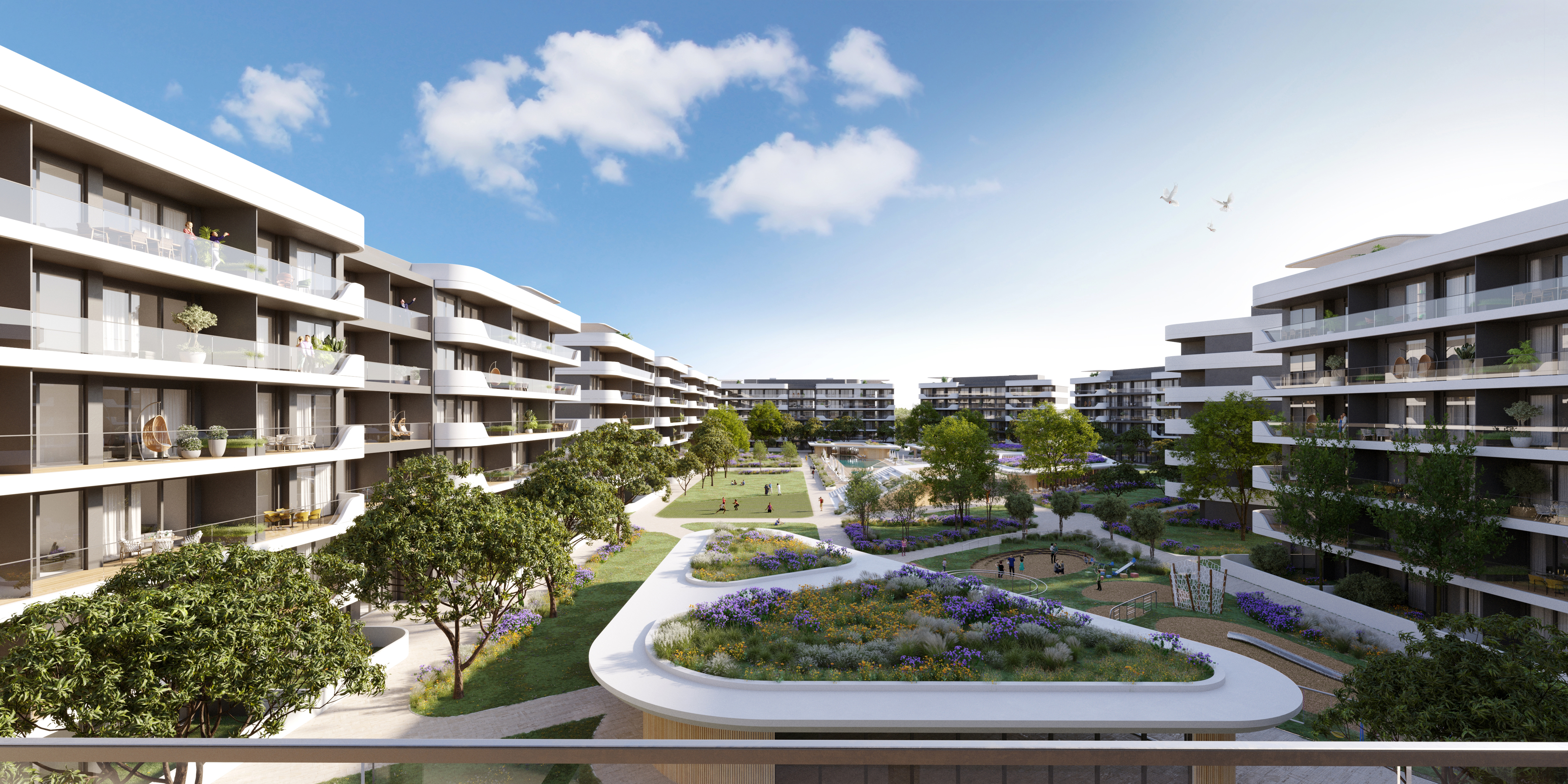 Project Gallery Image