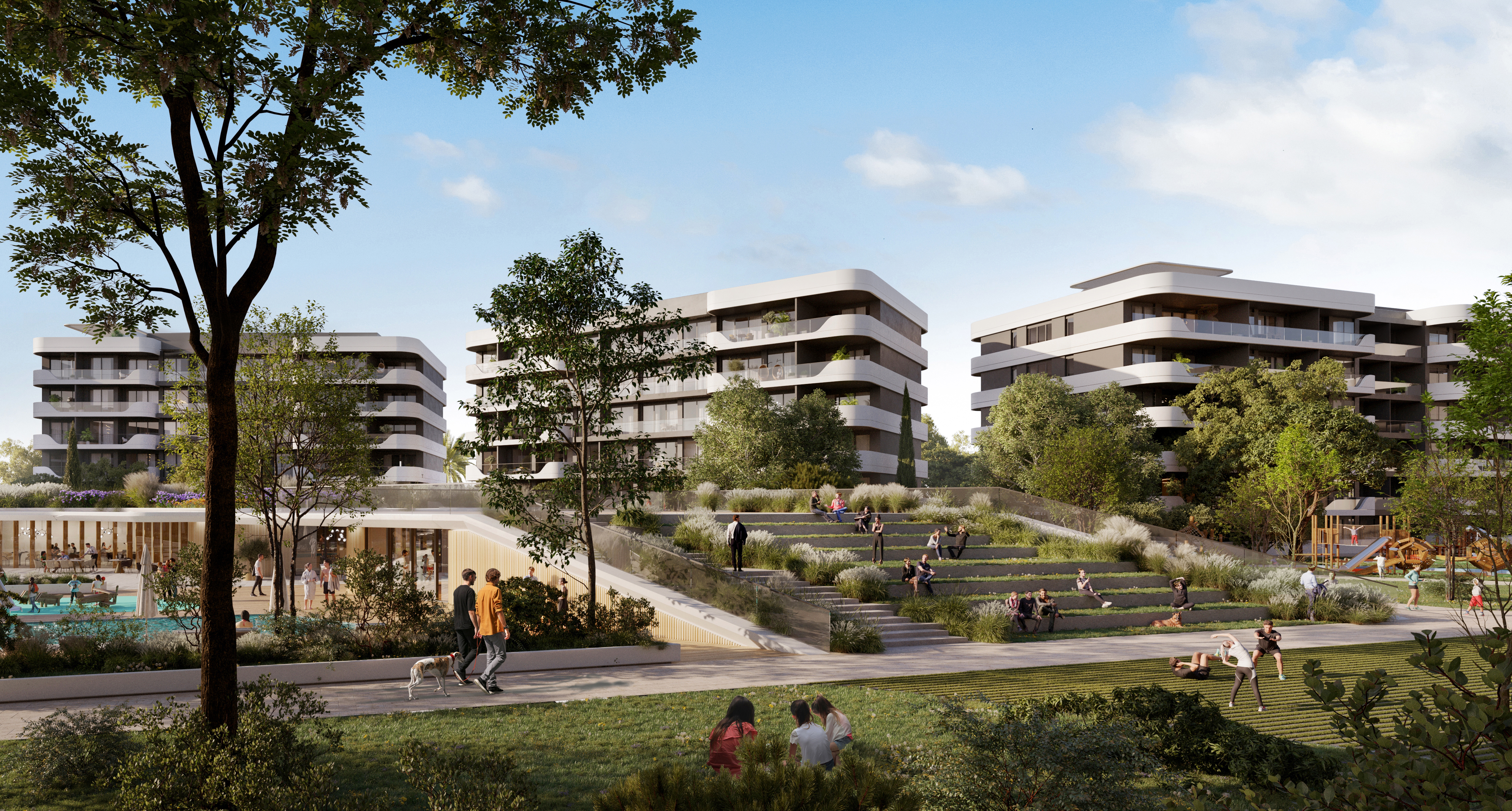 Project Gallery Image